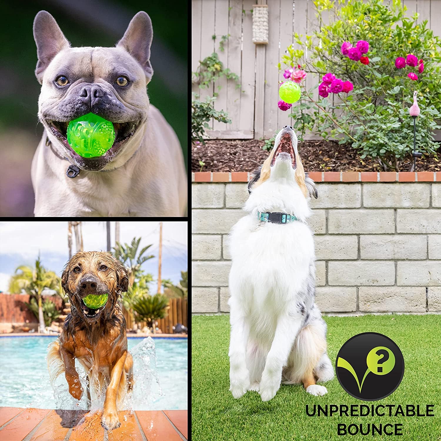 Durasqueak Dog Ball Toy, Interactive Dog Toys That Float and Squeaks for Playing, Fetching and Retrieving-Great Alternative to Traditional Tennis Balls Green 2.5 Inch | Bold Sound Effects Reward Play, a Fresh Alternative to Traditional Tennis Options, Keeps Pups Chasing and Retrieving Daily