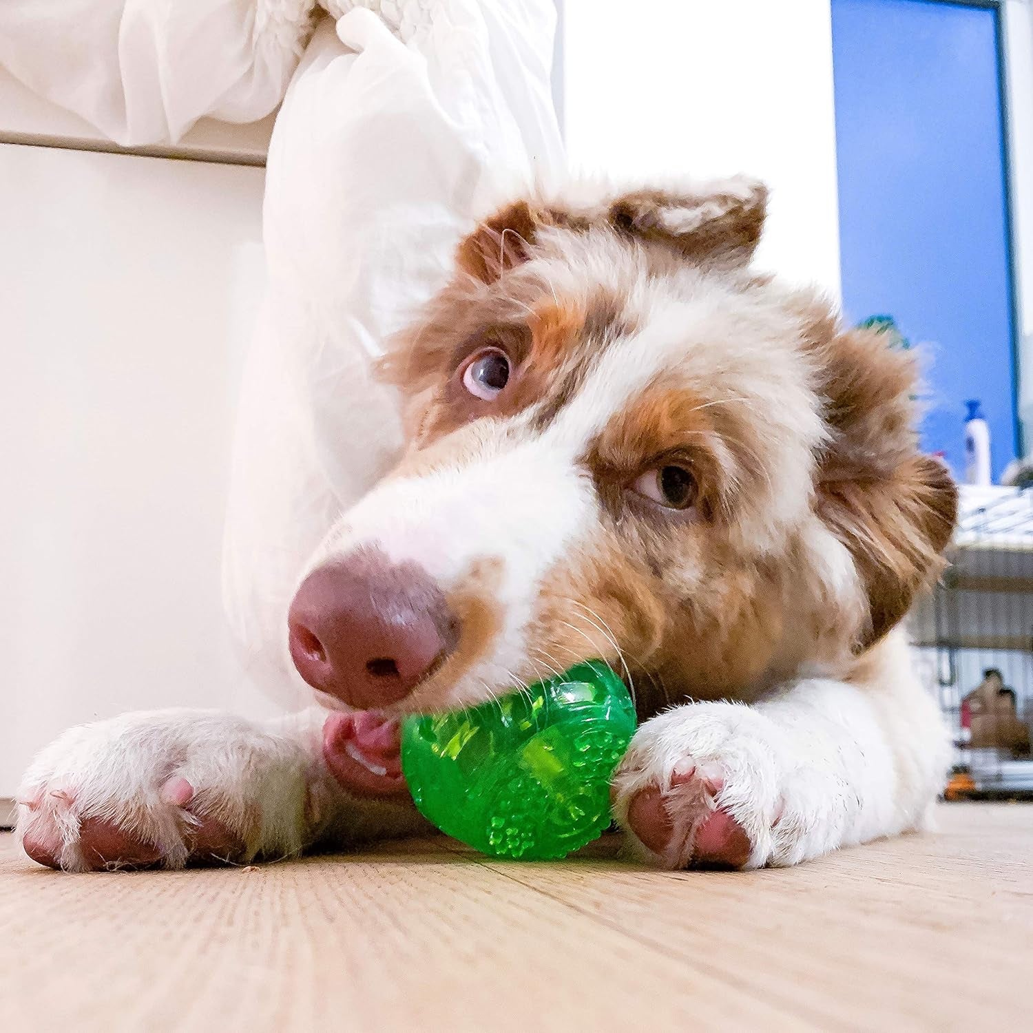 Durasqueak Dog Ball Toy, Interactive Dog Toys That Float and Squeaks for Playing, Fetching and Retrieving-Great Alternative to Traditional Tennis Balls Green 2.5 Inch | Bold Sound Effects Reward Play, a Fresh Alternative to Traditional Tennis Options, Keeps Pups Chasing and Retrieving Daily