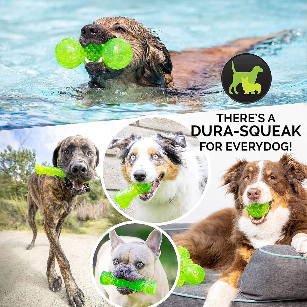 Durasqueak Dog Ball Toy, Interactive Dog Toys That Float and Squeaks for Playing, Fetching and Retrieving-Great Alternative to Traditional Tennis Balls Green 2.5 Inch | Bold Sound Effects Reward Play, a Fresh Alternative to Traditional Tennis Options, Keeps Pups Chasing and Retrieving Daily