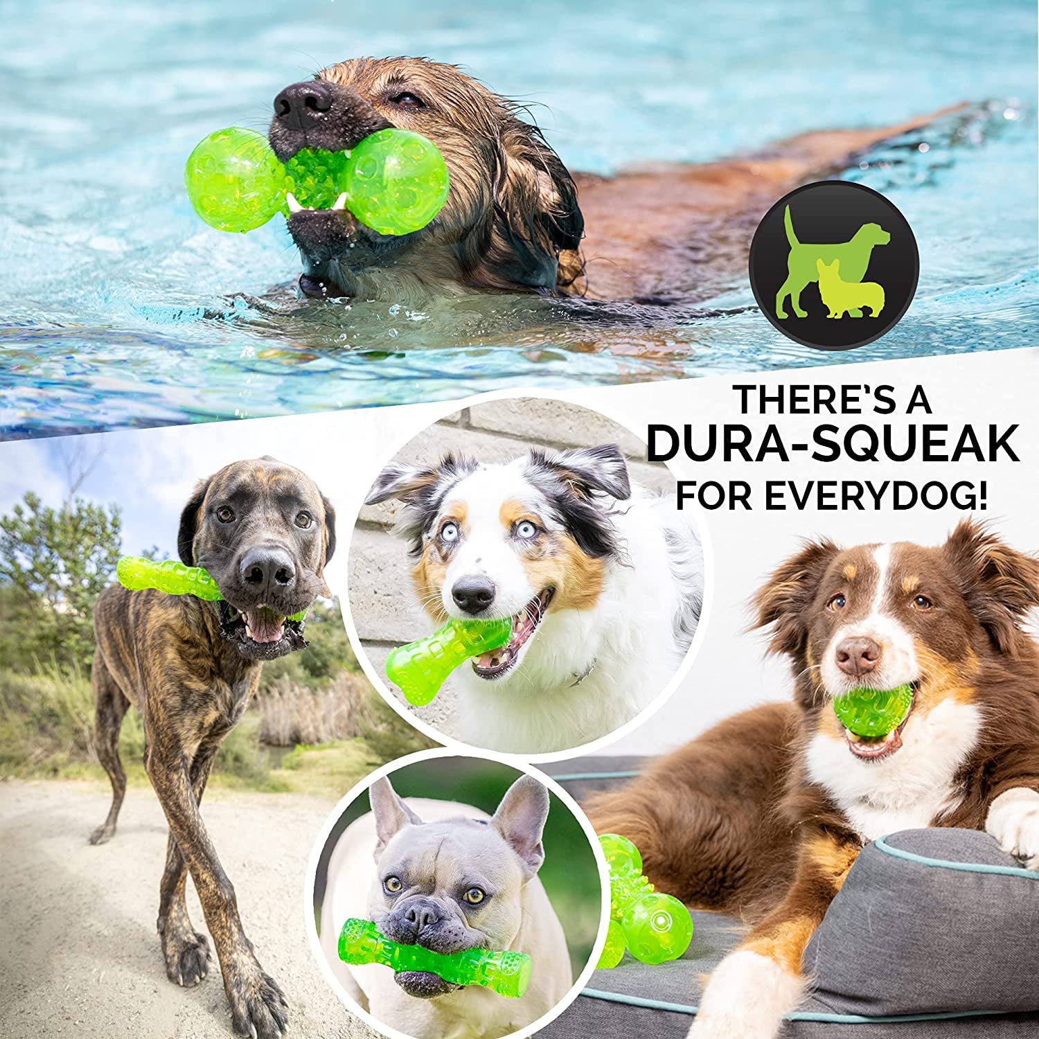 Durasqueak Dog Ball Toy, Interactive Dog Toys That Float and Squeaks for Playing, Fetching and Retrieving-Great Alternative to Traditional Tennis Balls Green 2.5 Inch | Bold Sound Effects Reward Play, a Fresh Alternative to Traditional Tennis Options, Keeps Pups Chasing and Retrieving Daily
